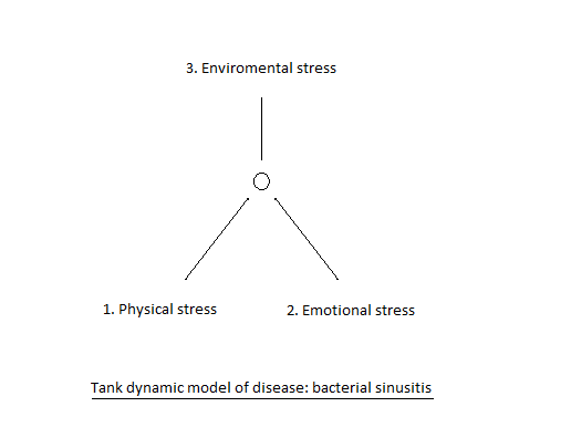 sinusitis tank dynamic model of disease 1